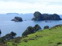 Coromandel