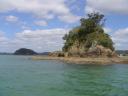Eine der vielen Inseln in der Bay of Islands