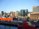 Im Hafen von Wellington