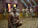 Traditionelle Aufführung inklusive Haka (Kriegstanz)